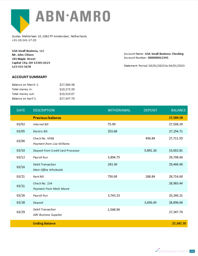 Download ABN Amro Bank company checking account statement Word and PDF template Photoshop template